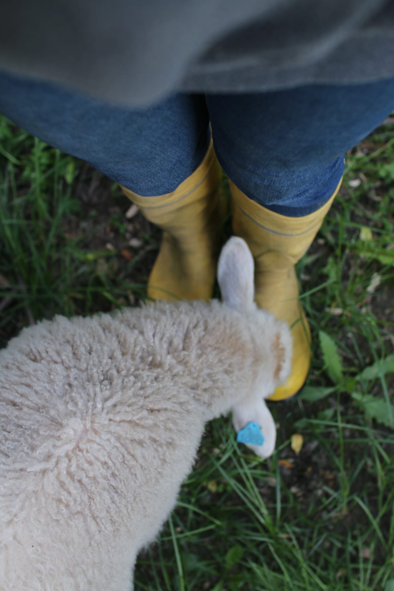 Linkullan Maatilaretriitti 4.7.2026